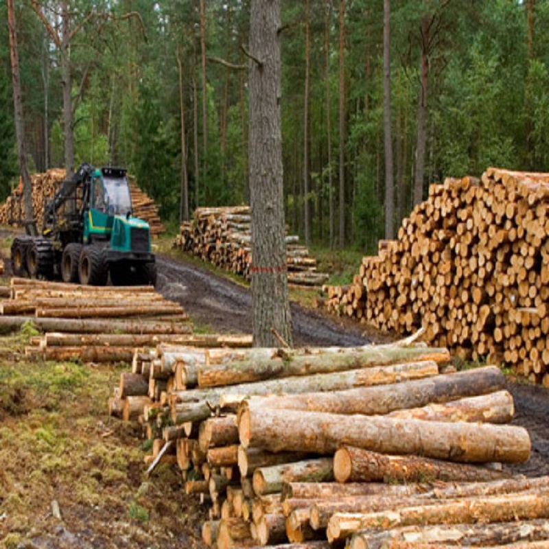 Onko tarpeen ylläpitää johdonmukaista arkistoinkulmaa ja syvyyttä terävöitäessä moottorisahaketjua?